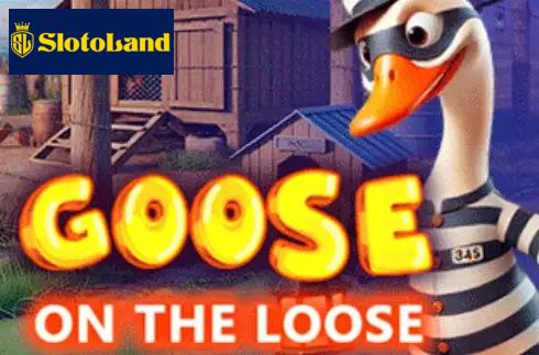 Goose on the loose